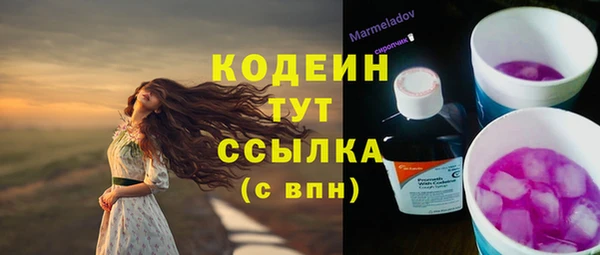 ГАЛЛЮЦИНОГЕННЫЕ ГРИБЫ Аркадак
